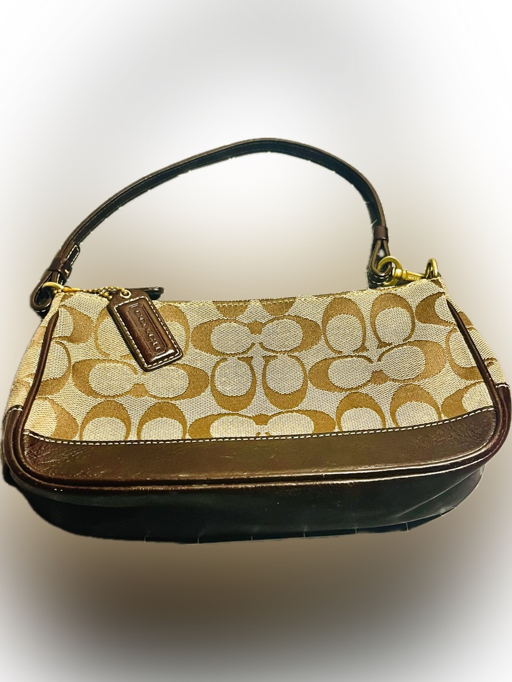Vintage Y2K Coach Signature Demi Pouch Shoulder Bag Brown Khaki A BEAUTY